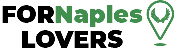 Best Cheap Removals Naples Near Me