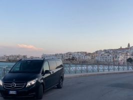 limousine companies in naples Napoli Transfer